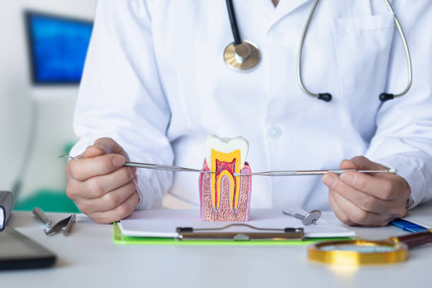 Best After-Hours Emergency Dentist in Portageville, MO